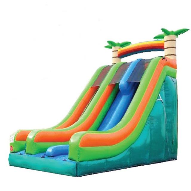 Rental store for Safari Dual Lane Slide, 22 in Honesdale PA