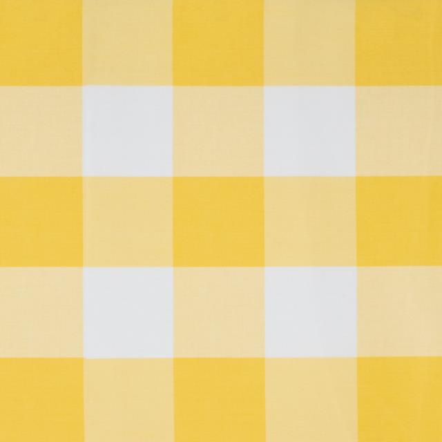 Rental store for Yellow Gingham in Honesdale PA