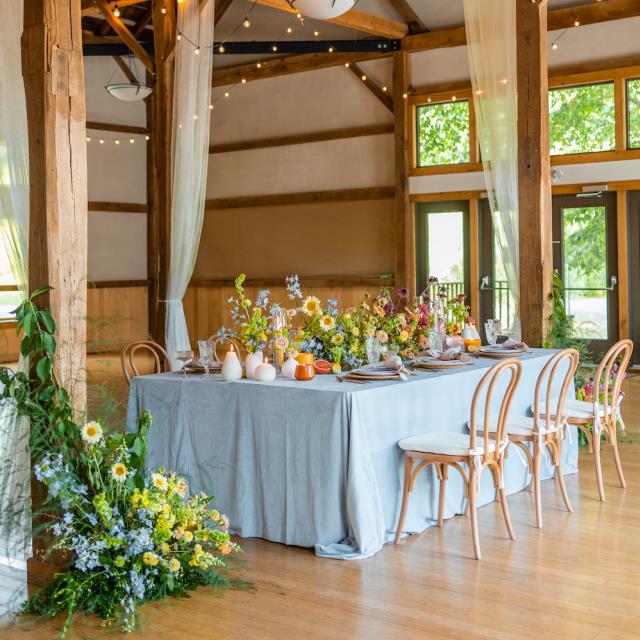 Where to find Chair, Bentwood, European Beechwood in Honesdale