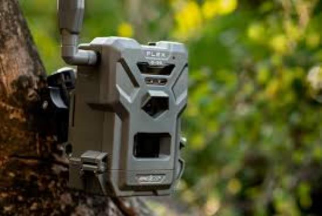 Rental store for Site Camera, Cellular in Honesdale PA